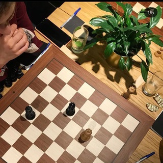 Логотип @yaprofichess - Шахматы 18+