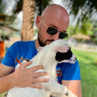 Логотип @yar_gorilla - Яр Gorilla