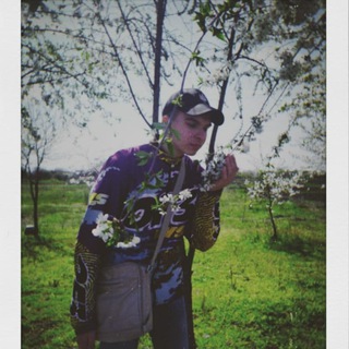 Логотип @yarikonishestickers - Yarikonishe stickers