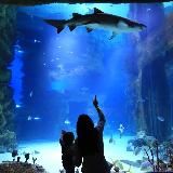 Логотип @yarkie_budni - ЯРКИЕ БУДНИ