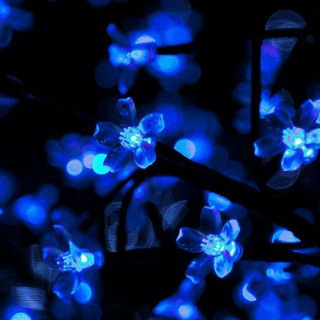 Логотип @yaroslavl288 - Что-то с чем-то 🤪💙