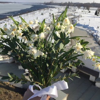 Логотип @yarvesna - Ярославская весна