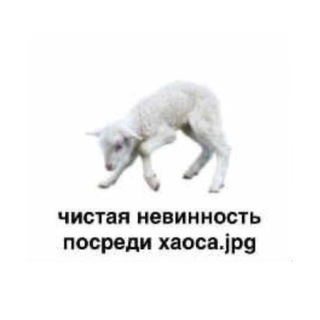 Логотип @yastarliks - ✶ старликс