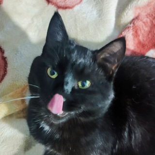 Логотип @yboinaus677 - Убойный Юмор