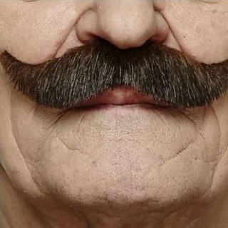 Логотип @ycbi68 - Сбритые усы