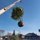 Логотип @yeahlifo - yeahLifo