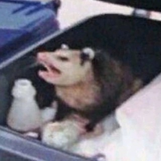 Логотип @yeahtoslash - эрос свиных котлеток