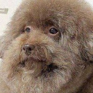 Логотип @yeban3kaa - yeban3000