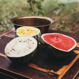 Логотип @yellowwatermelon1 - Корочанские Арбузы Шляховых