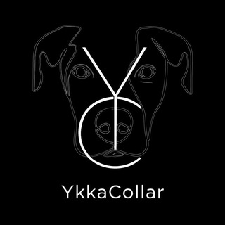 Логотип @ykkacollar - YkkaCollar