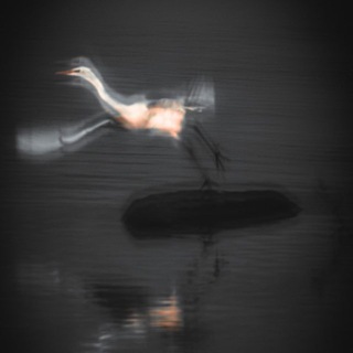 Логотип @yma_film - memory life