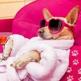 Логотип @ymor_best - 😂 Юмор 😂