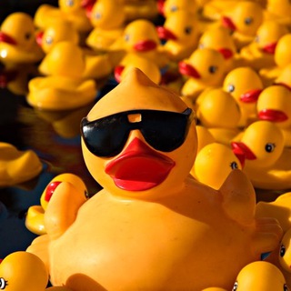 Логотип @yo_pro - Yo Pro