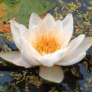 Логотип @yogaheppi - Счастье – это йога