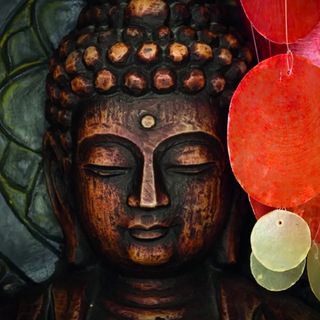 Логотип @yogapatanjali - Yoga Patanjali