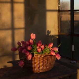 Логотип @yojmove - Jesus is our salvation💕