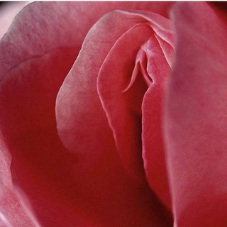 Логотип @yonihiling - Йони-Хилинг