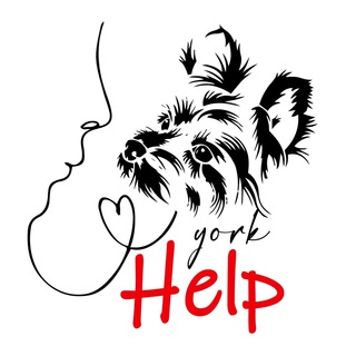 Логотип @yorkhelp - ЙОРК ХЕЛП