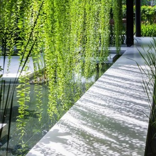 Логотип @yospace - Женщина Мира