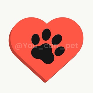 Логотип @you_can_pet - You can pet 🐶