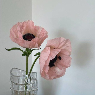 Логотип @youarethesuninyour - م