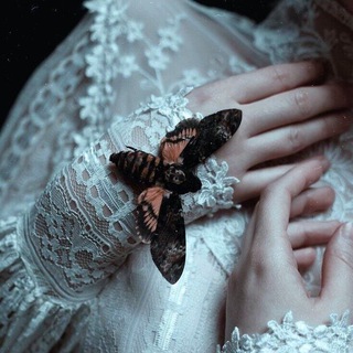 Логотип @youestett - Эстет 🍸