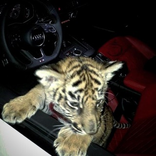 Логотип @youmecht - мечтаю