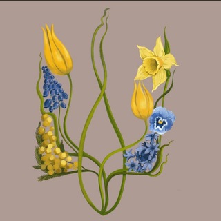 Логотип @young_science_4 - YOUNG SCIENCE 4.0