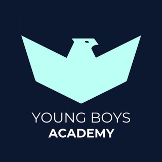Логотип @youngboysuz - “Young Boys” | Academy