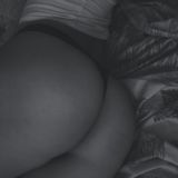 Логотип @your_wild_fantasy - [YWF] Your Wild Fantasy