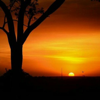 Логотип @youraudiobooks - You know?