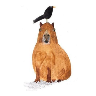 Логотип @yourcapybarin - Капибарин