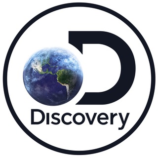 Логотип @yourdiscoveryworld - Discovery World