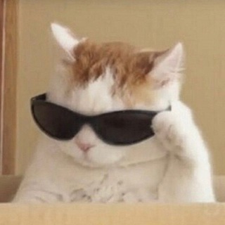 Логотип @yourelatetotheparty - СОВЕТ ДРУГА