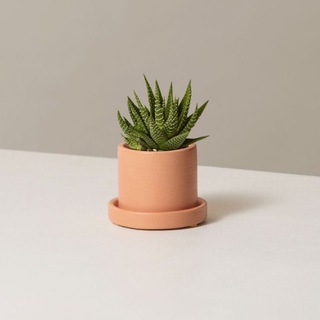 Логотип @yourhomelyhome - Уютный дом | Все для дома