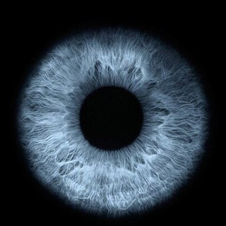 Логотип @yourlibraryofthexxicentury - ТВОЯ Библиотека XXI века