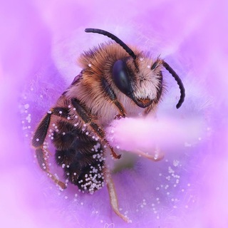 Логотип @yourlworld - микро_МИР