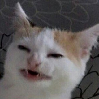 Логотип @yourmemesdealers - Твой мемный дилер