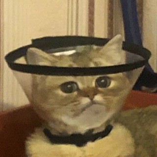 Логотип @yourmumspussyy - мемасы от вовасы, ивасы и святичека и иногда от алексансы и вновь от демасы