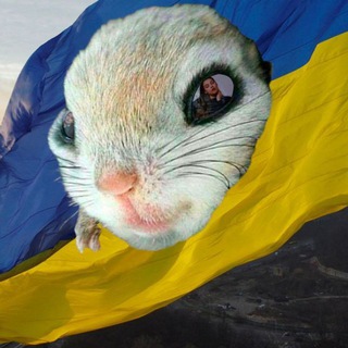 Логотип @yourpersonalmemeger - 🇺🇦 your personal memeger | #УкрТґ 🇺🇦