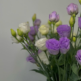 Логотип @yourprivatechannel - private channel