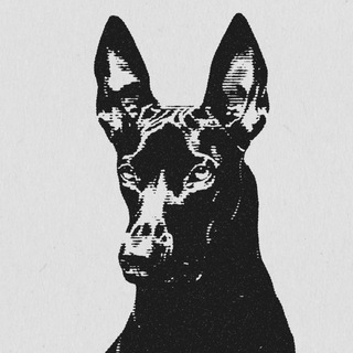 Логотип @yourreys - Иван Рейс конфа