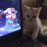 Логотип @yourselllffr - 💋boоm💋