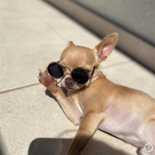 Логотип @yoursilenzio - 𝒴𝑜𝓊𝓇𝓈𝒾𝓁𝑒𝓃𝓏𝒾𝑜 🕯