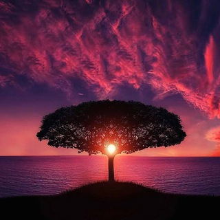 Логотип @yourtravelhere - YOUR TRAVEL