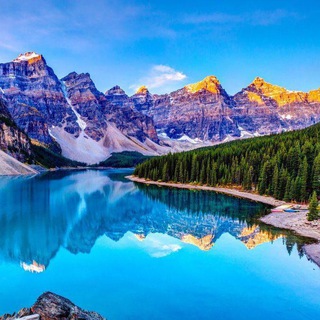 Логотип @yourtraveller - Traveller