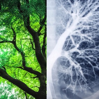 Логотип @yourtruevoice - Школа истинного голоса