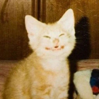 Логотип @youshouldgoandloveyourself - пропагандист Король Пушочек