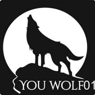 Логотип @youwolf01group - YouWolf01