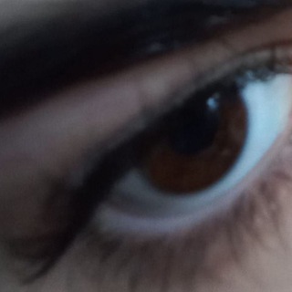 Логотип @ys1qp - высокоинтелектуальные люди тут с 🙄